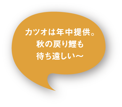 カツオは年中提供。秋の戻り鰹も待ち遠しい〜