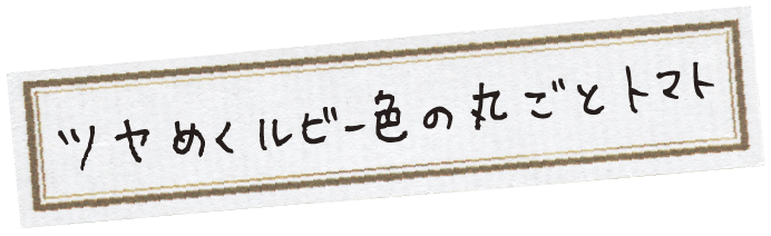 ツヤめくルビー色の丸ごとトマト