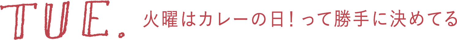 TUE. 火曜はカレーの日！って勝手に決めてる