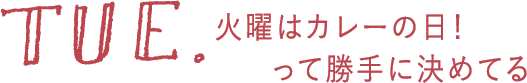 TUE. 火曜はカレーの日！って勝手に決めてる