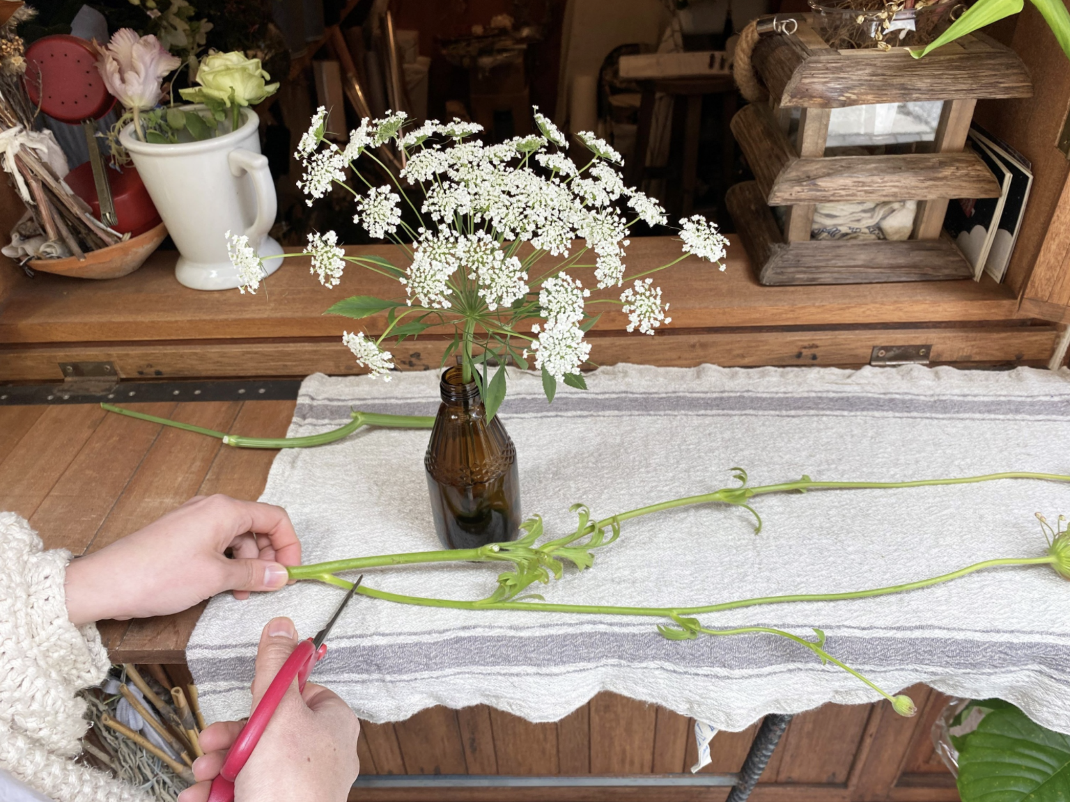 おうちで お気軽 花あそび 1 後編 Savvy Online 京阪神エルマガジン社