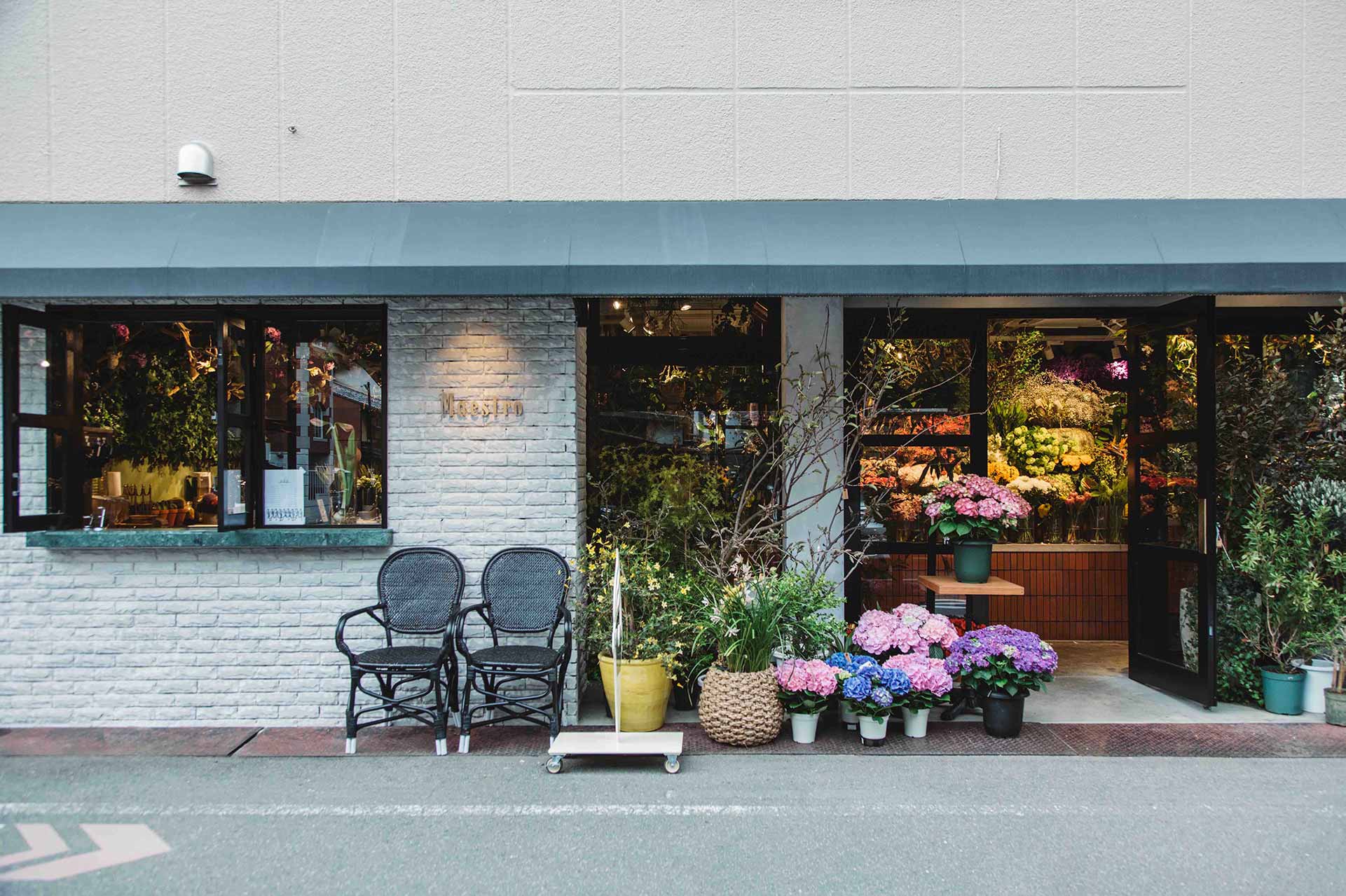 それぞれの環境にぴったりな花を提案する 頼れる街の花屋さん Savvy Online 京阪神エルマガジン社