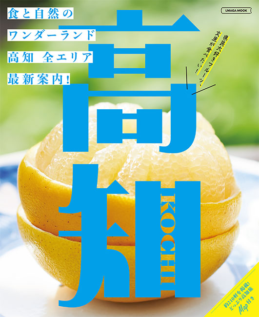 ガイド教本☆レモン社&トラベル出版 高知 | 京阪神エルマガジン社